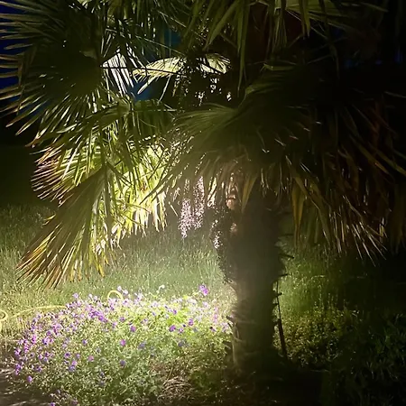 Les Jardins De Parfondeval Parfondeval (Orne)