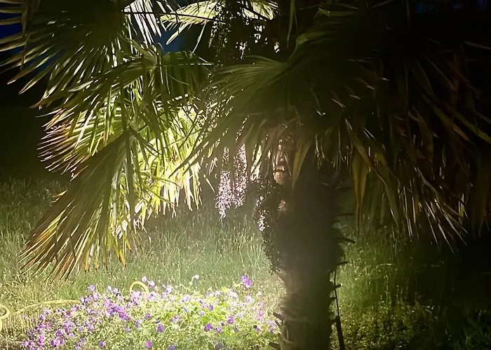 Les Jardins De Parfondeval Parfondeval (Orne)